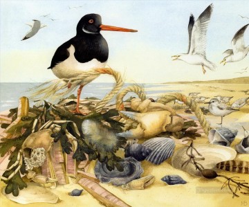 動物 Painting - 鳥の貝殻海岸